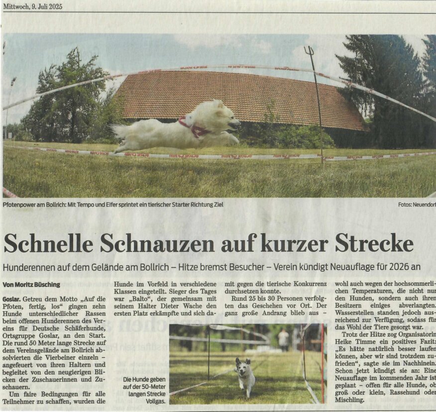 Bericht der Goslarschen zeitung vom 09. Juli 2025 über das Hunderennen vom 29. Juni 2025 auf dem Vereinsglände des OG-Goslar e.V. 