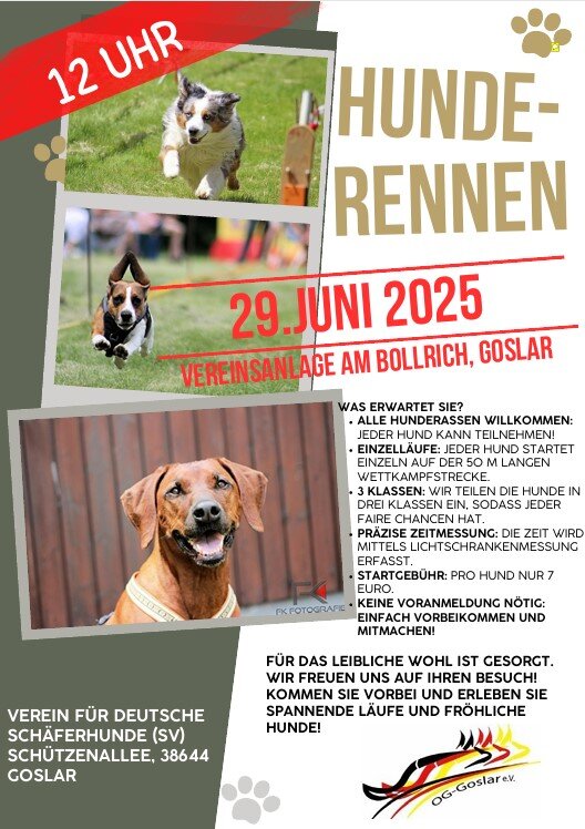 Plakat zum Hunderennen am 29.06.2025 in Goslar, Schützenallee, Vereinsgelände.